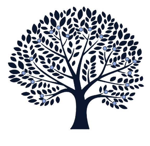 Fruition Capital